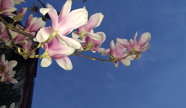 Kuzynka z Polski ~Part two