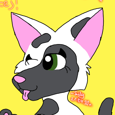 lilys.petshops