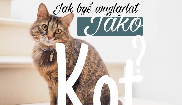 Jakbyś wyglądał jako kot? #6