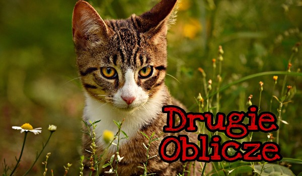 Drugie oblicze #2