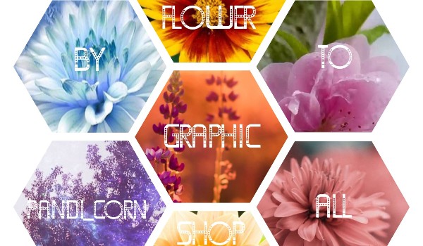 Flower graphic shop