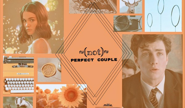 •(not) perfect couple•|james potter #3