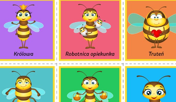 Quiz o pszczołach!