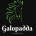 galopadda