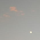nive_lps