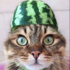 ._unikarcia_x.Patus_Official.