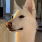 Mary_Wolfrose