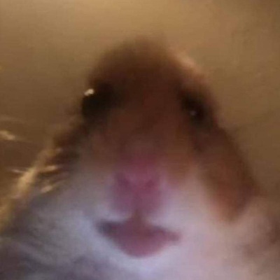 juniorek98