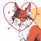 Klonowa_Gwiazda_Jest_Cudna