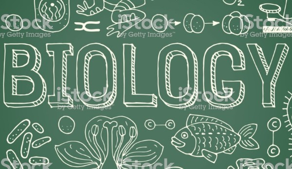 9 pytań na temat biologi