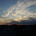 Robiequizzy_386