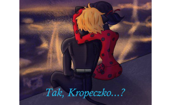 Tak, Kropeczko…? [Miraculum] #5