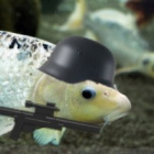 Pepe_