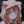 FoxyTails