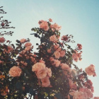 Lost_Soul