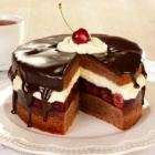 t.o.r.t.z.w.i.s.i.e.n.k.a.