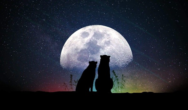 Niewielka różnica #2