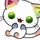 Kitty_Koto