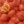 sovietOnion