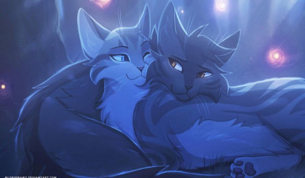 Q&A — pierwsza część