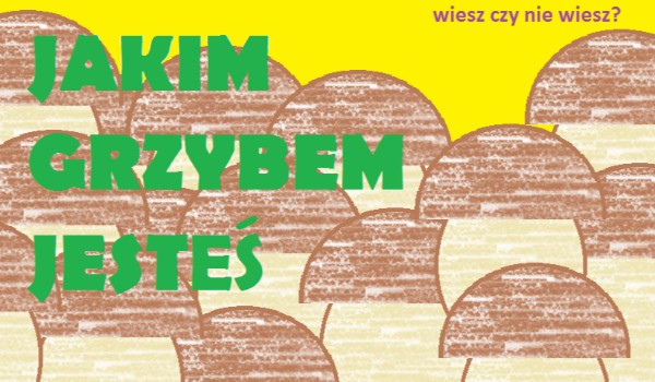 Jakim grzybem jesteś?
