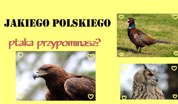 Jakiego polskiego ptaka przypominasz?