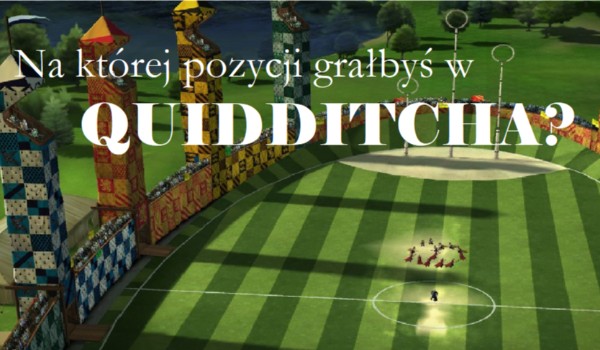 Na jakiej pozycji grałbyś w quidditcha?
