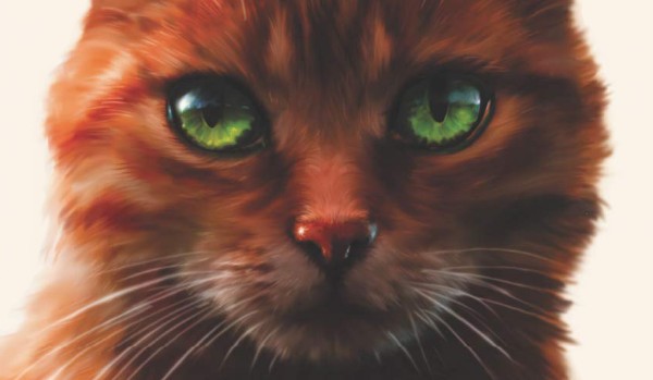 Flame is Hope – sezon I część 2