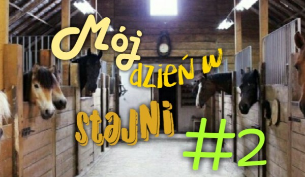 Mój dzień w stajni #2