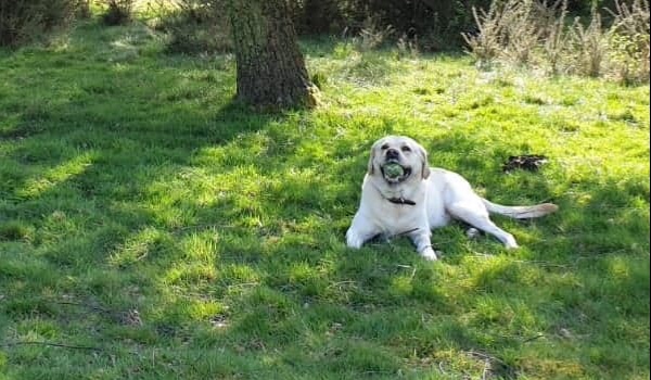 twoja przygoda w Gumballu #2