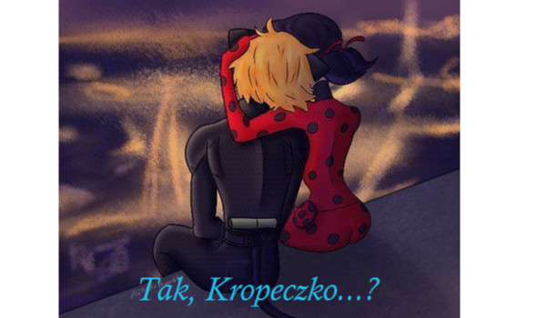 Tak, Kropeczko…? [Miraculum] #6