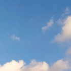 natalcia10.14