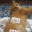 Ola_2020