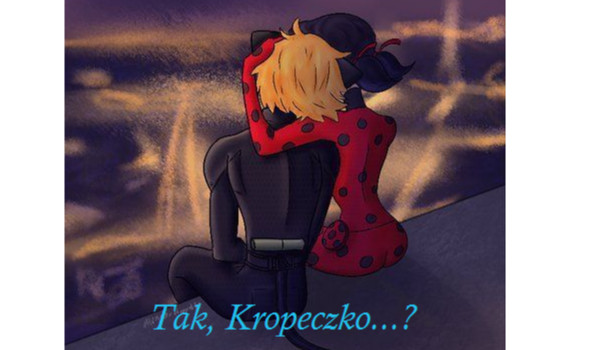 Tak, Kropeczko…? [Miraculum] #7