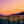 Sunflower____