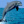 Delfinek678