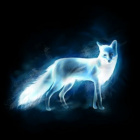 .Patronus.