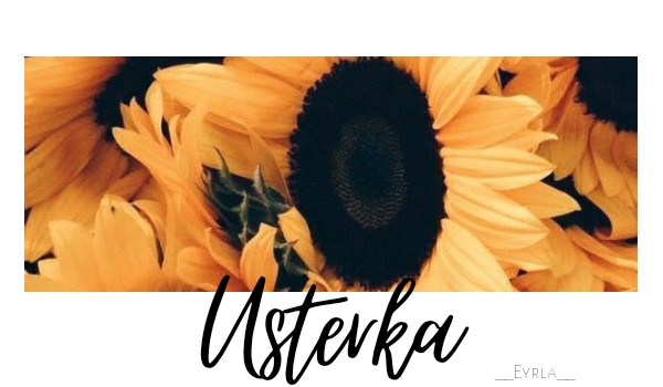 Usterka 4