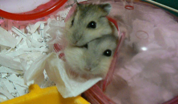 Zapytaj se województwa #3