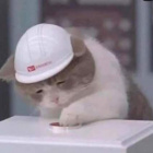 Patga