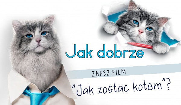 Jak dobrze znasz film ” Jak zostać kotem „?
