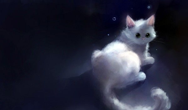 Sytuacje z mojego niecodziennego życia // 8