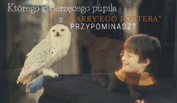 Którego zwierzęcego pupila z Harry’ego Pottera przypominasz?