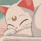 Kitty12345