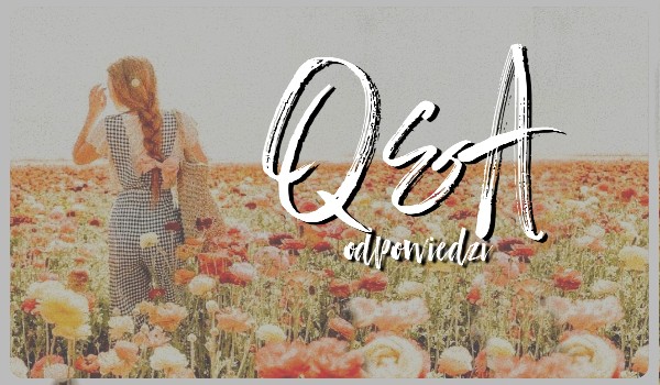 Q&A-odpowiedzi