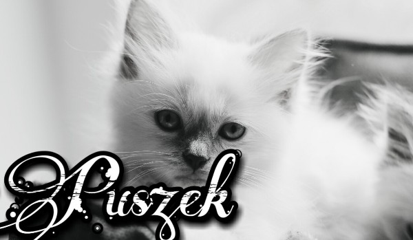 Puszek |one shot|