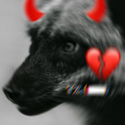 Black_Fox13