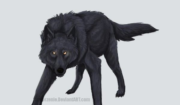 Leśne życie-część 3