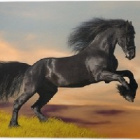 storm_rider