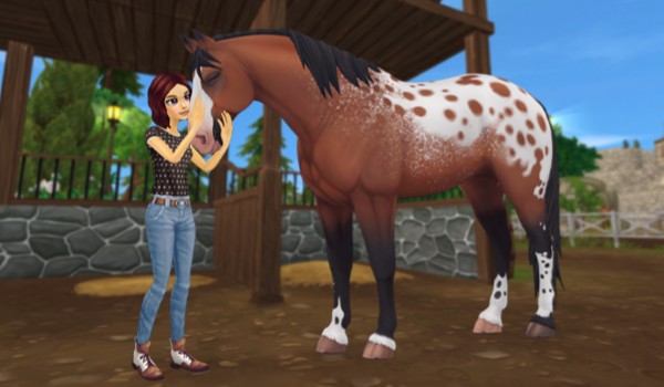Czy rozpoznasz konie ze star stable online?
